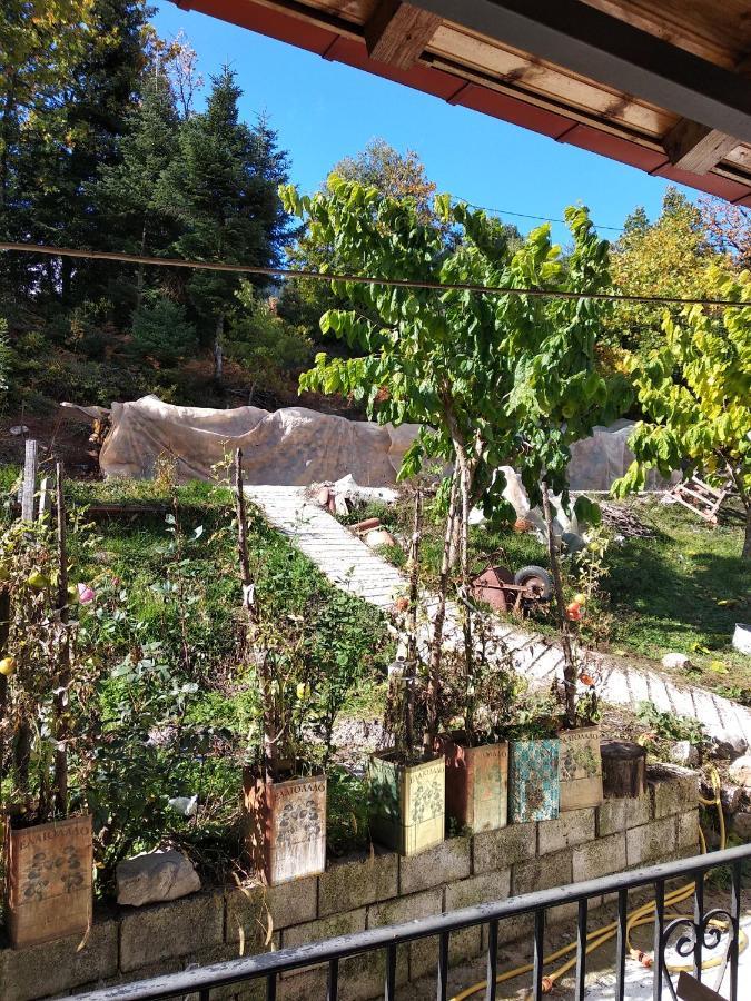 Elatos Rooms Mikro Chorio  Exterior photo